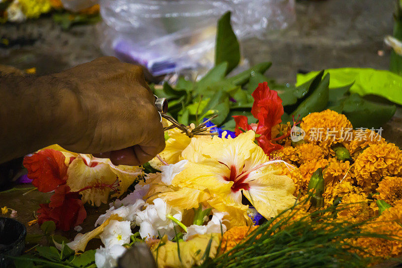 在印度的kali Puja、durga Puja和其他节日期间，印度教祭司用月季、木槿、万寿菊和其他调味品等鲜花举行Puja仪式。